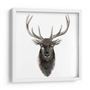 Estudio De Animal Occidental V - Grace Popp | Cuadro decorativo de Canvas Lab