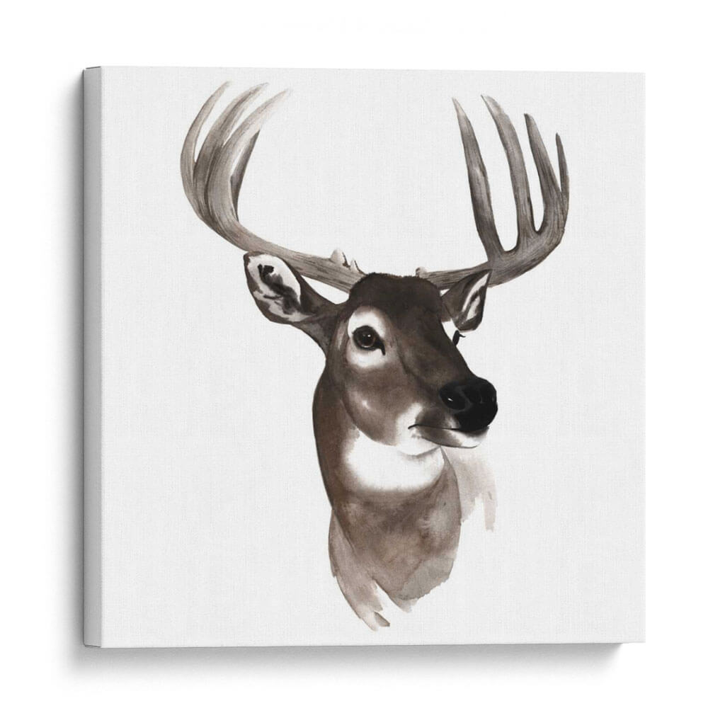 Estudio De Animales Occidentales Vi - Grace Popp | Cuadro decorativo de Canvas Lab