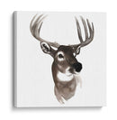 Estudio De Animales Occidentales Vi - Grace Popp | Cuadro decorativo de Canvas Lab