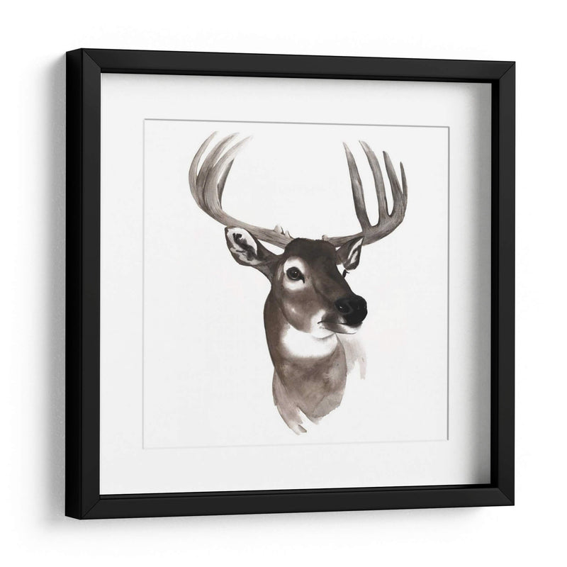 Estudio De Animales Occidentales Vi - Grace Popp | Cuadro decorativo de Canvas Lab