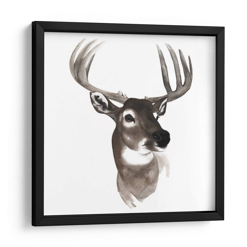 Estudio De Animales Occidentales Vi - Grace Popp | Cuadro decorativo de Canvas Lab