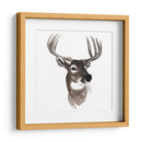 Estudio De Animales Occidentales Vi - Grace Popp | Cuadro decorativo de Canvas Lab