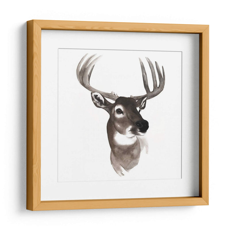 Estudio De Animales Occidentales Vi - Grace Popp | Cuadro decorativo de Canvas Lab