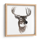 Estudio De Animales Occidentales Vi - Grace Popp | Cuadro decorativo de Canvas Lab