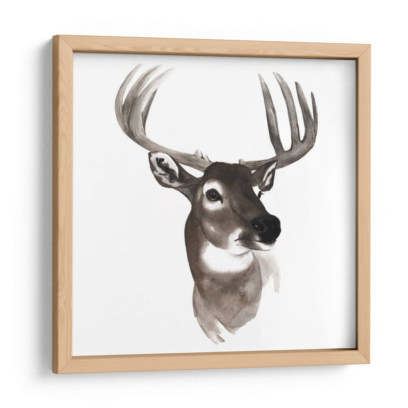 Estudio De Animales Occidentales Vi - Grace Popp | Cuadro decorativo de Canvas Lab