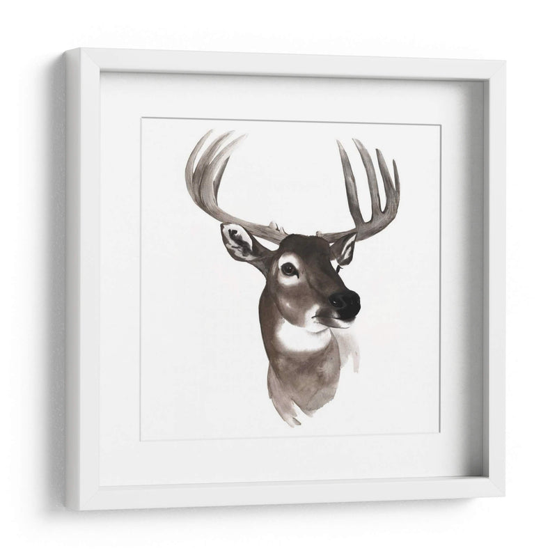 Estudio De Animales Occidentales Vi - Grace Popp | Cuadro decorativo de Canvas Lab