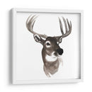 Estudio De Animales Occidentales Vi - Grace Popp | Cuadro decorativo de Canvas Lab