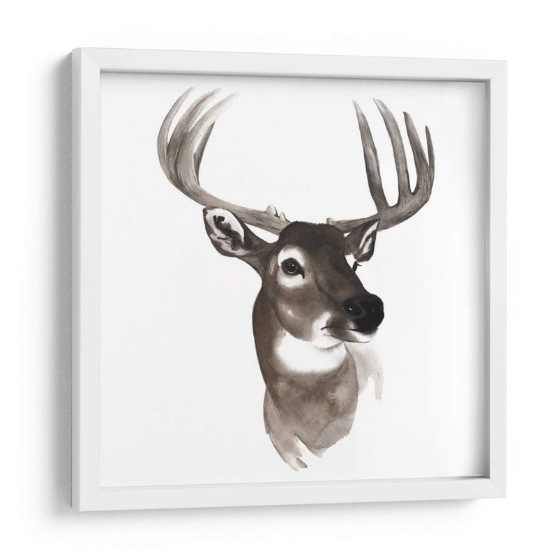 Estudio De Animales Occidentales Vi - Grace Popp | Cuadro decorativo de Canvas Lab