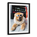 Perrito cool | Cuadro decorativo de Canvas Lab