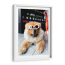 Perrito cool | Cuadro decorativo de Canvas Lab