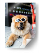 Perrito cool | Cuadro decorativo de Canvas Lab