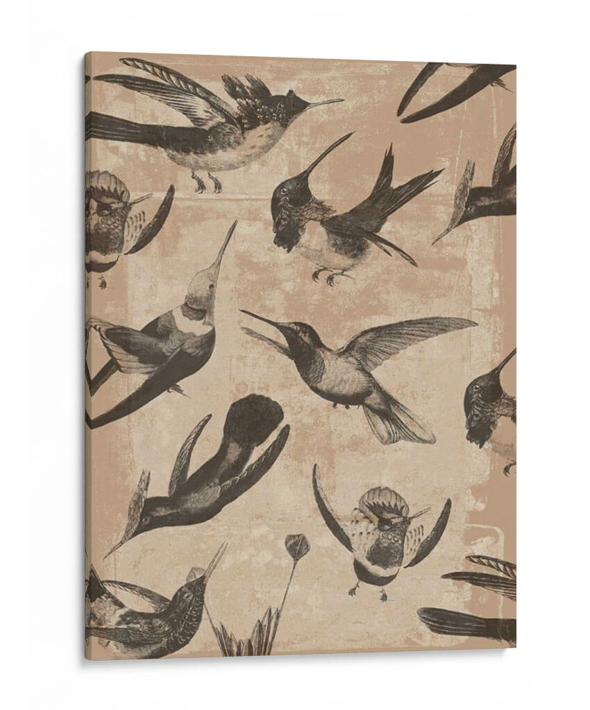 Patrón De Aves I - Jennifer Goldberger | Cuadro decorativo de Canvas Lab