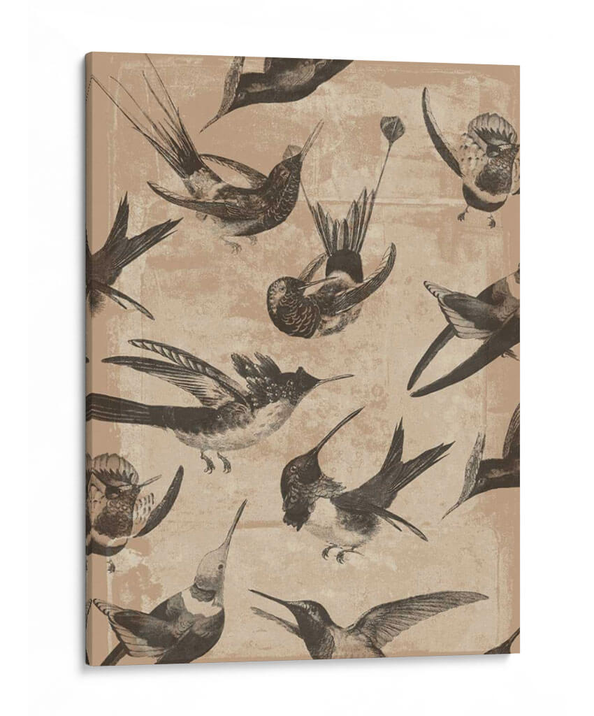 Patrón De Pájaro Ii - Jennifer Goldberger | Cuadro decorativo de Canvas Lab