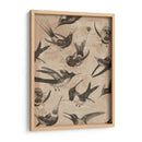 Patrón De Pájaro Ii - Jennifer Goldberger | Cuadro decorativo de Canvas Lab