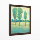 Día De Primavera Ii - Tim OToole | Cuadro decorativo de Canvas Lab
