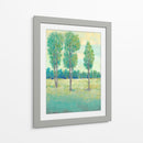Día De Primavera Ii - Tim OToole | Cuadro decorativo de Canvas Lab