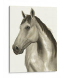 Luna Mare Ii - Grace Popp | Cuadro decorativo de Canvas Lab
