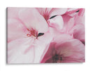 Pink dreams | Cuadro decorativo de Canvas Lab