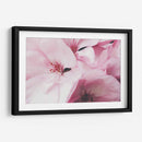 Pink dreams | Cuadro decorativo de Canvas Lab
