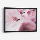 Pink dreams | Cuadro decorativo de Canvas Lab
