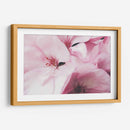 Pink dreams | Cuadro decorativo de Canvas Lab