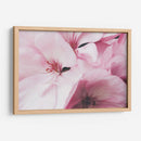 Pink dreams | Cuadro decorativo de Canvas Lab