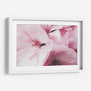 Pink dreams | Cuadro decorativo de Canvas Lab