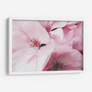 Pink dreams | Cuadro decorativo de Canvas Lab