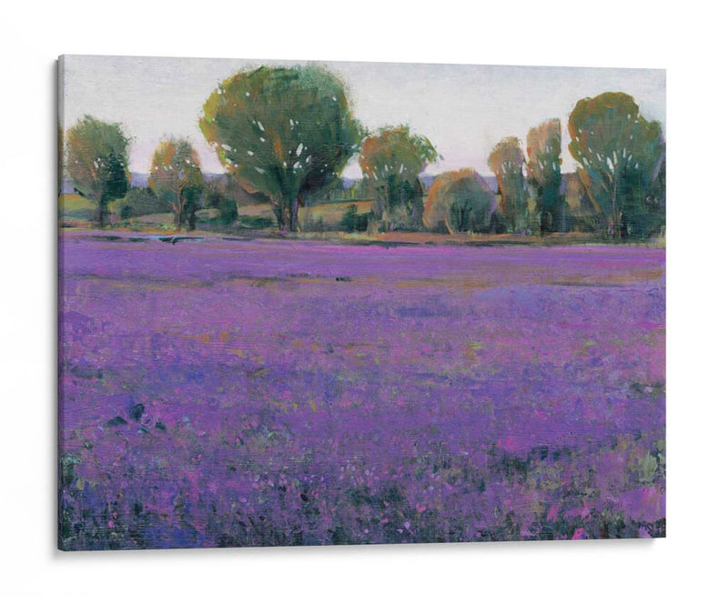 Campo De Lavanda I - Tim OToole | Cuadro decorativo de Canvas Lab