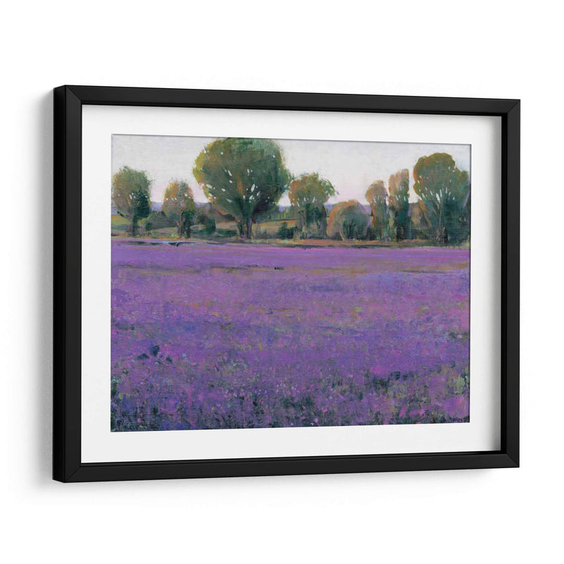 Campo De Lavanda I - Tim OToole | Cuadro decorativo de Canvas Lab