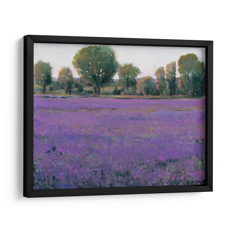 Campo De Lavanda I - Tim OToole | Cuadro decorativo de Canvas Lab