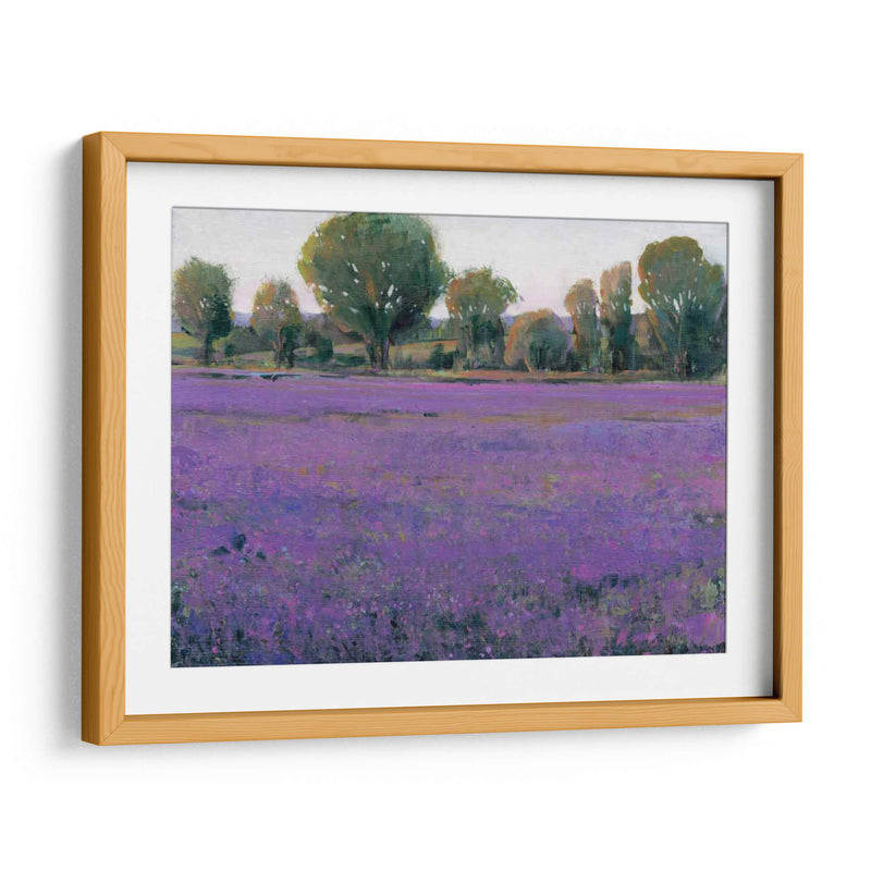 Campo De Lavanda I - Tim OToole | Cuadro decorativo de Canvas Lab