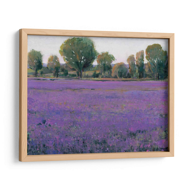 Campo De Lavanda I - Tim OToole | Cuadro decorativo de Canvas Lab