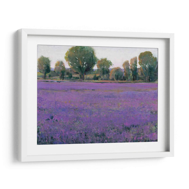 Campo De Lavanda I - Tim OToole | Cuadro decorativo de Canvas Lab