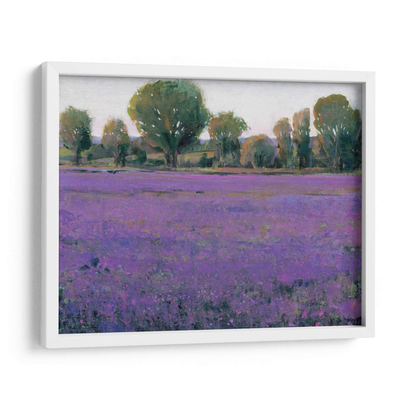 Campo De Lavanda I - Tim OToole | Cuadro decorativo de Canvas Lab