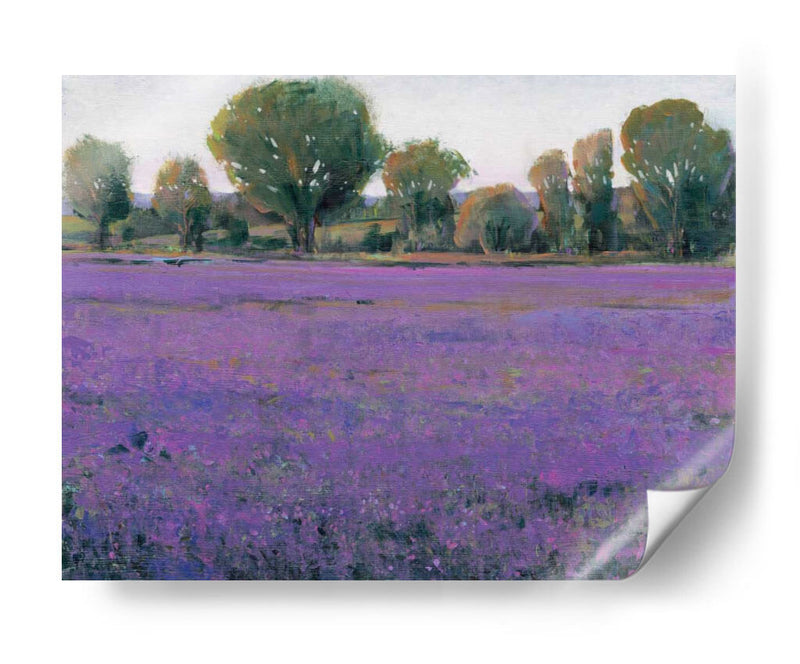 Campo De Lavanda I - Tim OToole | Cuadro decorativo de Canvas Lab