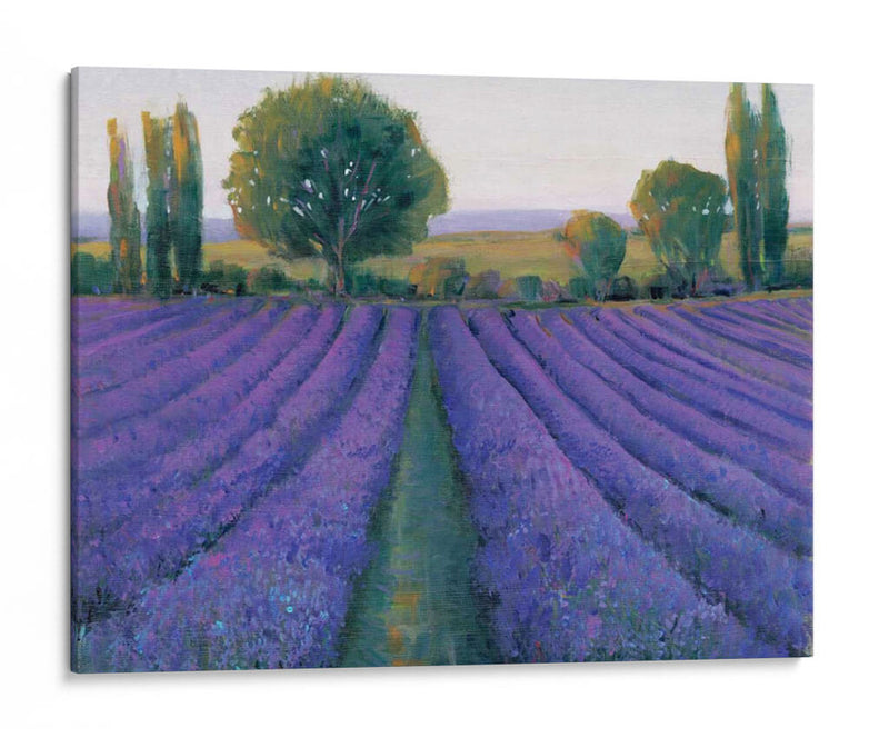 Field De Lavanda Ii - Tim OToole | Cuadro decorativo de Canvas Lab