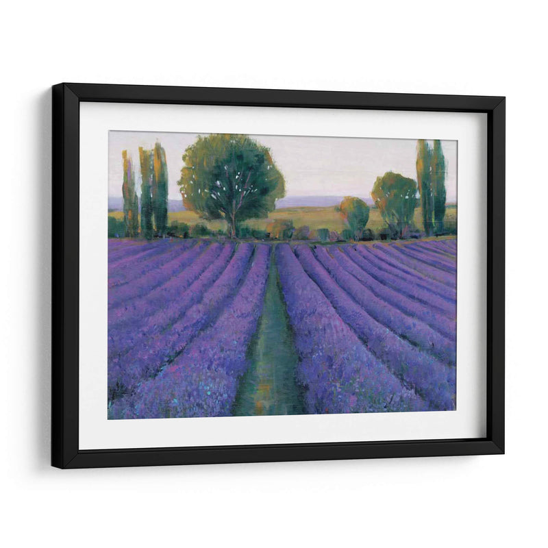 Field De Lavanda Ii - Tim OToole | Cuadro decorativo de Canvas Lab