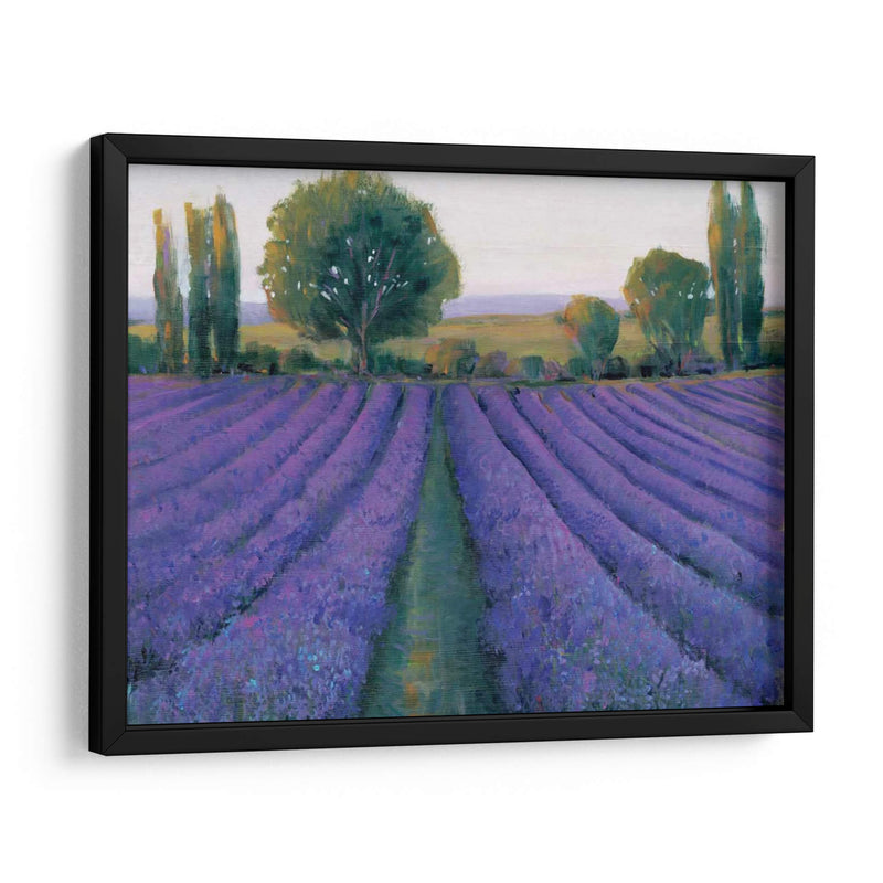 Field De Lavanda Ii - Tim OToole | Cuadro decorativo de Canvas Lab