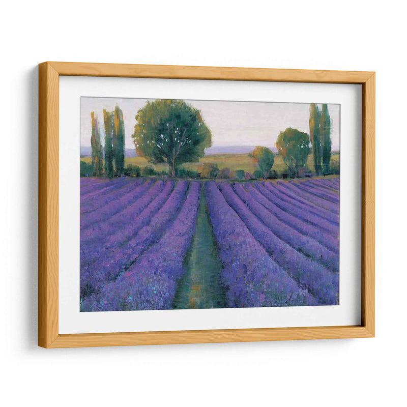 Field De Lavanda Ii - Tim OToole | Cuadro decorativo de Canvas Lab