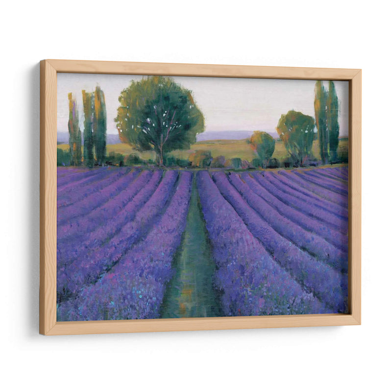 Field De Lavanda Ii - Tim OToole | Cuadro decorativo de Canvas Lab