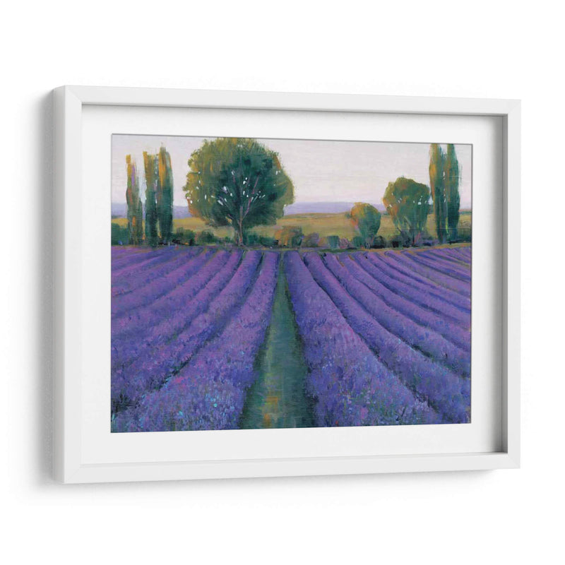 Field De Lavanda Ii - Tim OToole | Cuadro decorativo de Canvas Lab