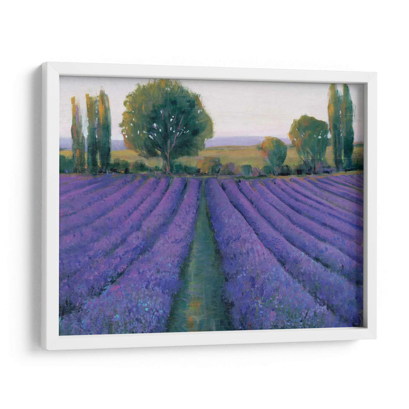 Field De Lavanda Ii - Tim OToole | Cuadro decorativo de Canvas Lab