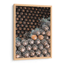 Pineapple stack | Cuadro decorativo de Canvas Lab