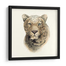 Safari Cat I - Grace Popp | Cuadro decorativo de Canvas Lab