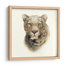 Safari Cat I - Grace Popp | Cuadro decorativo de Canvas Lab