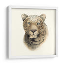 Safari Cat I - Grace Popp | Cuadro decorativo de Canvas Lab