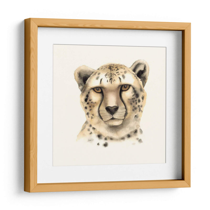 Safari Cat Iv - Grace Popp | Cuadro decorativo de Canvas Lab