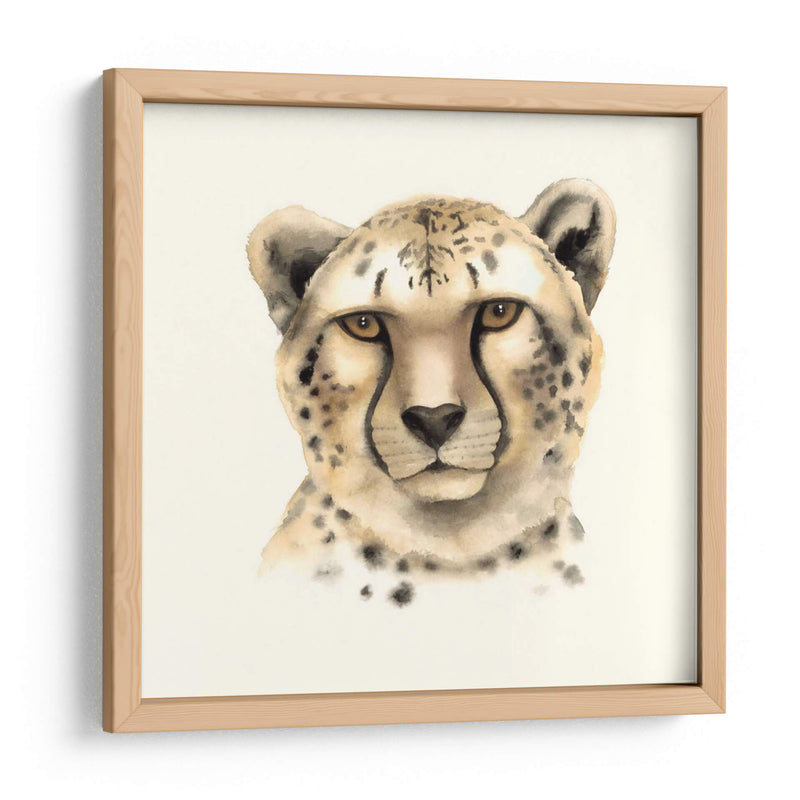 Safari Cat Iv - Grace Popp | Cuadro decorativo de Canvas Lab