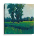 Tarde Sol I - Tim OToole | Cuadro decorativo de Canvas Lab